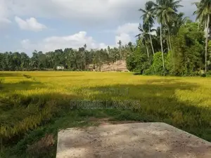 Land in Minuwangoda for Sale