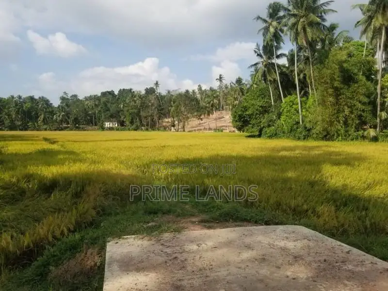 Land in Minuwangoda for Sale