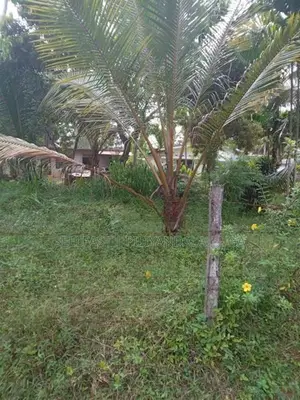 Land For Sale Meegoda