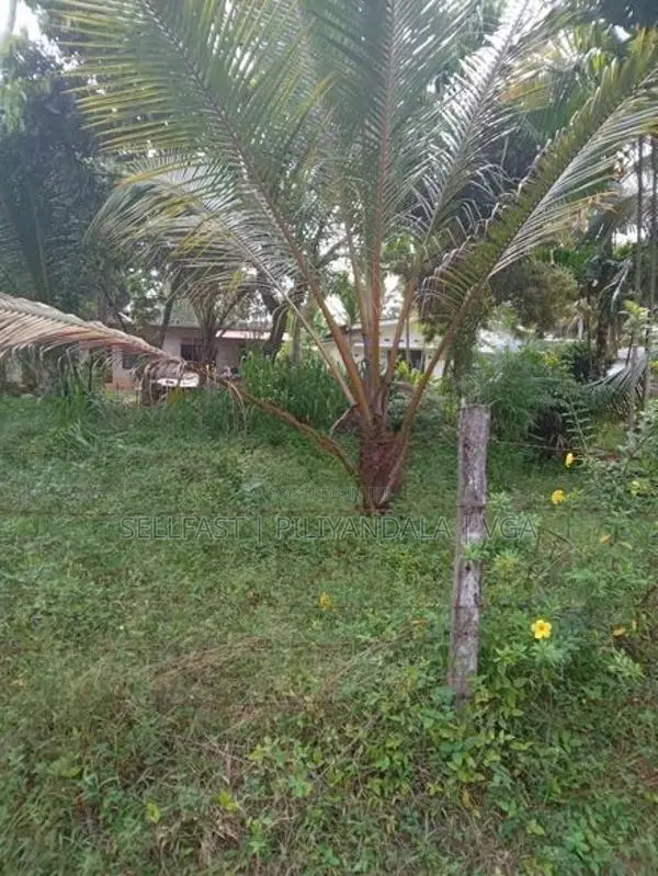 Land For Sale Meegoda