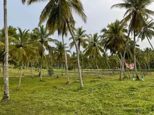 ටවුමට ලගින් A6 බස් පාරෙන් ඉඩමක් මැල්සිරිපුර නගරයෙන්