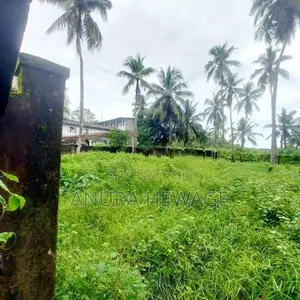 මාලබේ චන්ද්‍රිකා කුමාරතුංග මාවතෙන් ඉඩමක් විකිණීමට (ID: CK09S)