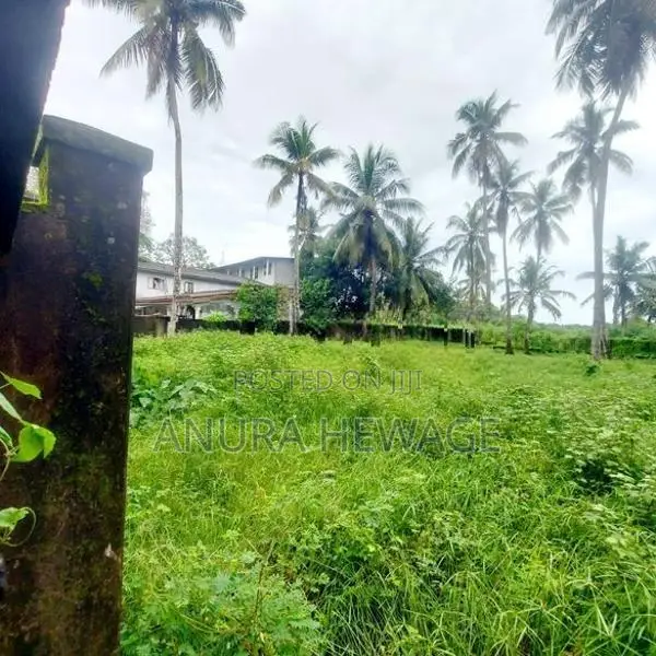 මාලබේ චන්ද්‍රිකා කුමාරතුංග මාවතෙන් ඉඩමක් විකිණීමට (ID: CK09S)