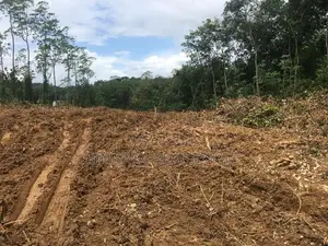 140P Bare Land in Boralugoda, Thelhena, Kosgama (SL 14419)