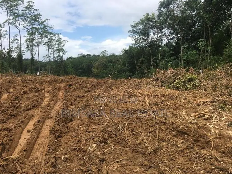 140P Bare Land in Boralugoda, Thelhena, Kosgama (SL 14419)