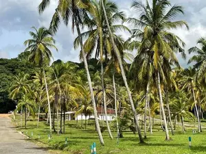 මැල්සිරිපුර නගරයෙන් සීතල පරිසර ඉඩමක්