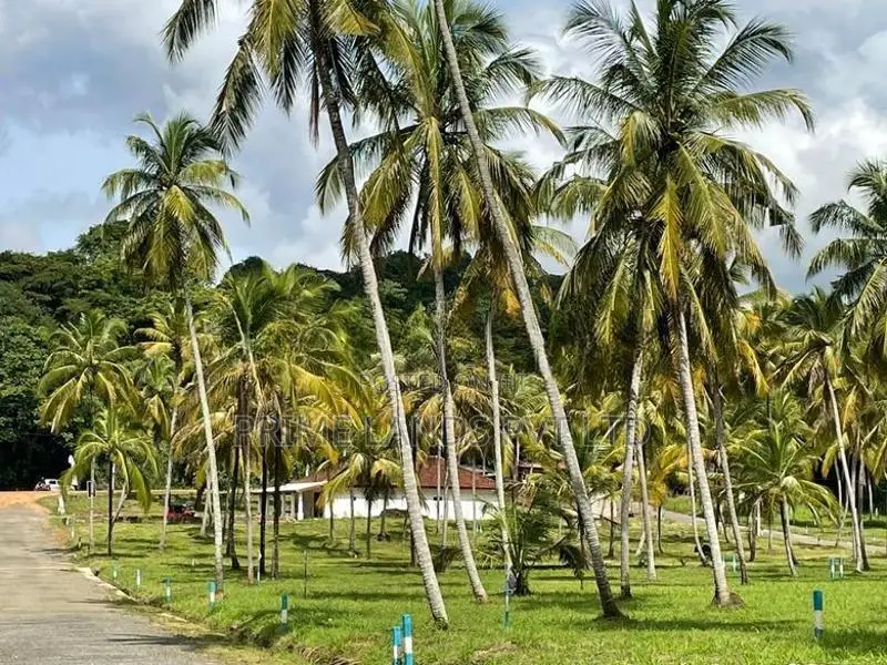 මැල්සිරිපුර නගරයෙන් සීතල පරිසර ඉඩමක්