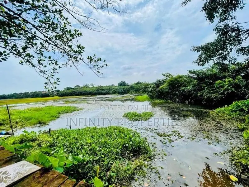(ARN324) Facing Lake 16 P Land Darmapala Mawatha, Battramulla