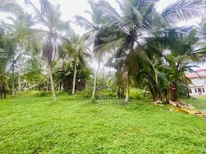 40P Superb Land Facing Kirindiwela – Weliweriya Main Rd