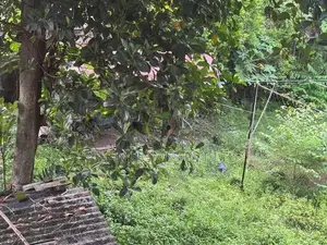 18P BARE LAND FOR SALE CLOSE TO MAIN ROAD ATTIDIYA DEHIWALA