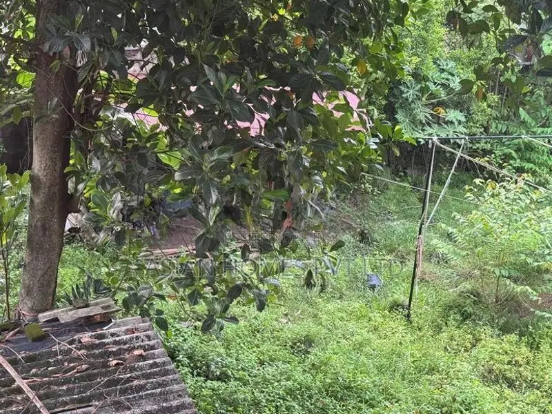 18P BARE LAND FOR SALE CLOSE TO MAIN ROAD ATTIDIYA DEHIWALA