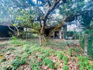 12P Superb Land for Sale at Hokandara Road, Pannipitiya