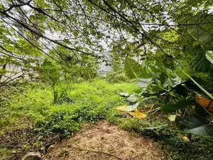 (AFA856) 12 P Land Sale At Gamage Mawatha Madiwela Kotte