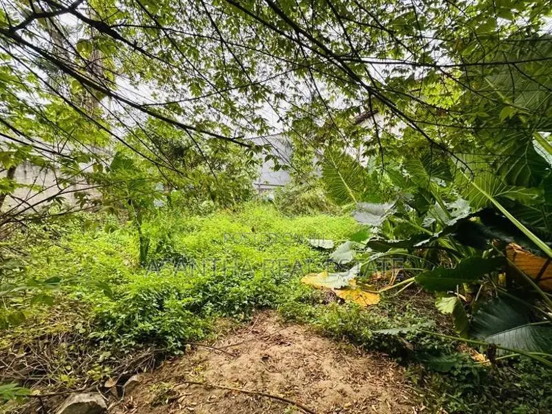 (AFA856) 12 P Land Sale At Gamage Mawatha Madiwela Kotte
