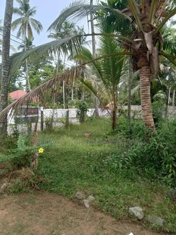 Land For Sale Meegoda