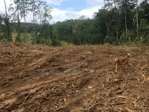 140P Bare Land in Boralugoda, Thelhena, Kosgama (SL 14419)