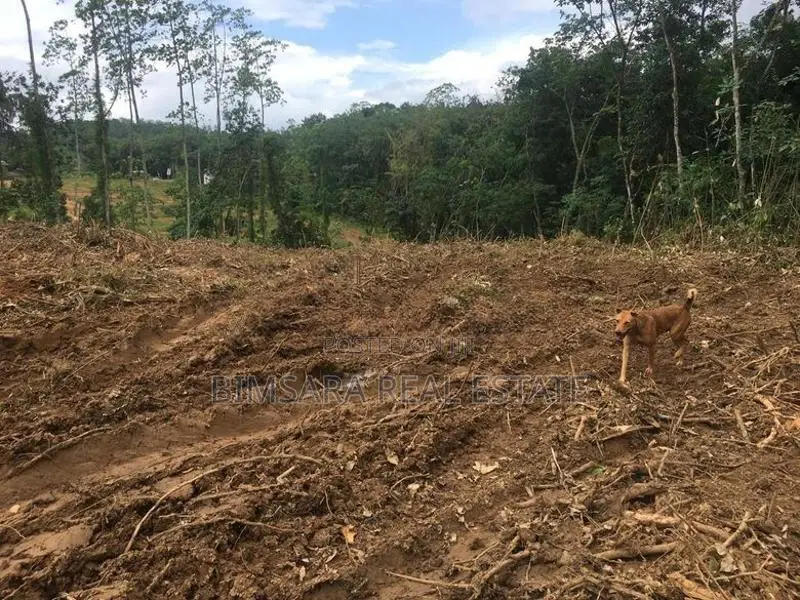 140P Bare Land in Boralugoda, Thelhena, Kosgama (SL 14419)