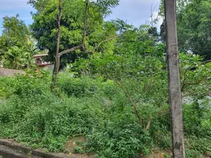 35.6P Veeravikum Mawatha, Pelawaththa, Battaramulla (SL 14421)