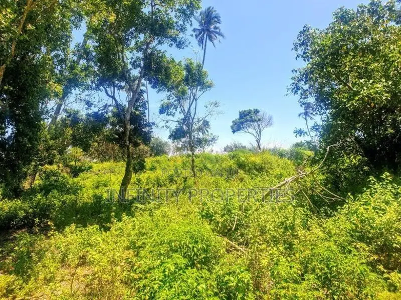 200 P Beach Front Land Sale At Tangle Rekewa Road
