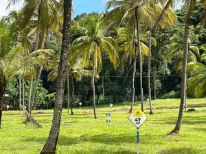 මැල්සිරිපුර නගරයෙන් සීතල පරිසර ඉඩමක්