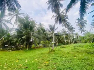 40P Superb Land Facing Kirindiwela – Weliweriya Main Rd