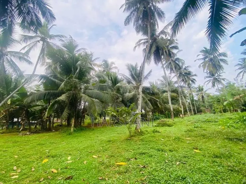 40P Superb Land Facing Kirindiwela – Weliweriya Main Rd