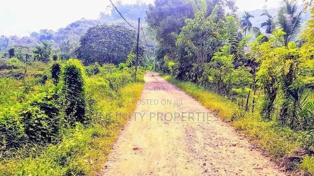 19 Acre Land Sale at Nebada Kalutara