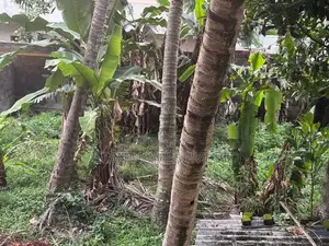 18P BARE LAND FOR SALE CLOSE TO MAIN ROAD ATTIDIYA DEHIWALA