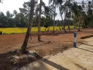 Land in Minuwangoda for Sale