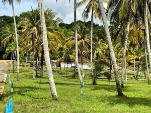 Land for Sale Ibbagamuwa
