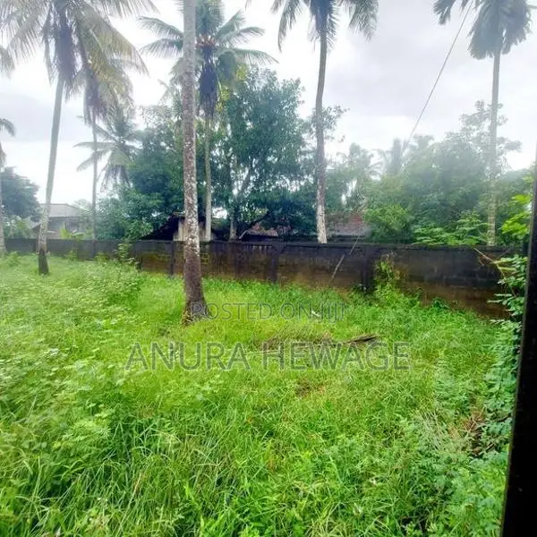 මාලබේ චන්ද්‍රිකා කුමාරතුංග මාවතෙන් ඉඩමක් විකිණීමට (ID: CK09S)