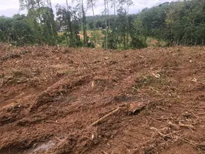 140P Bare Land in Boralugoda, Thelhena, Kosgama (SL 14419)