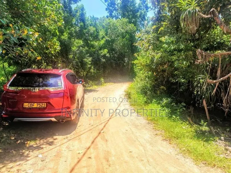 200 P Beach Front Land Sale At Tangle Rekewa Road