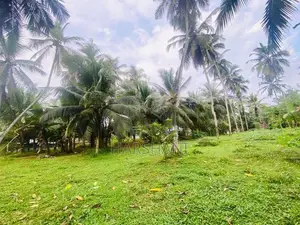 40P Superb Land Facing Kirindiwela – Weliweriya Main Rd