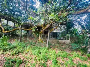 12P Superb Land for Sale at Hokandara Road, Pannipitiya