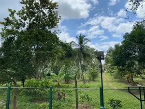 Villa For Sale Coconut Estate Girihulla CHJ25552