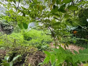 (AFA856) 12 P Land Sale At Gamage Mawatha Madiwela Kotte