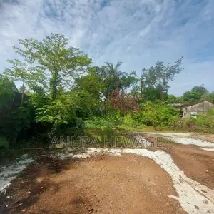 Land for Sale Very Close to Waragoda Road Peliyagoda (ID: PELI001)