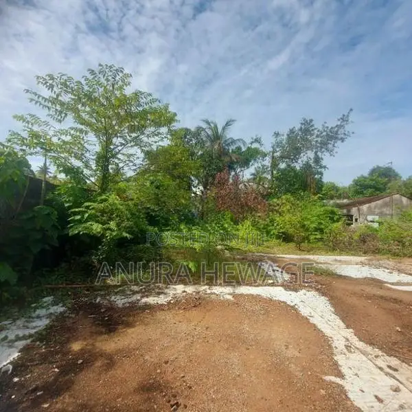 Land for Sale Very Close to Waragoda Road Peliyagoda (ID: PELI001)