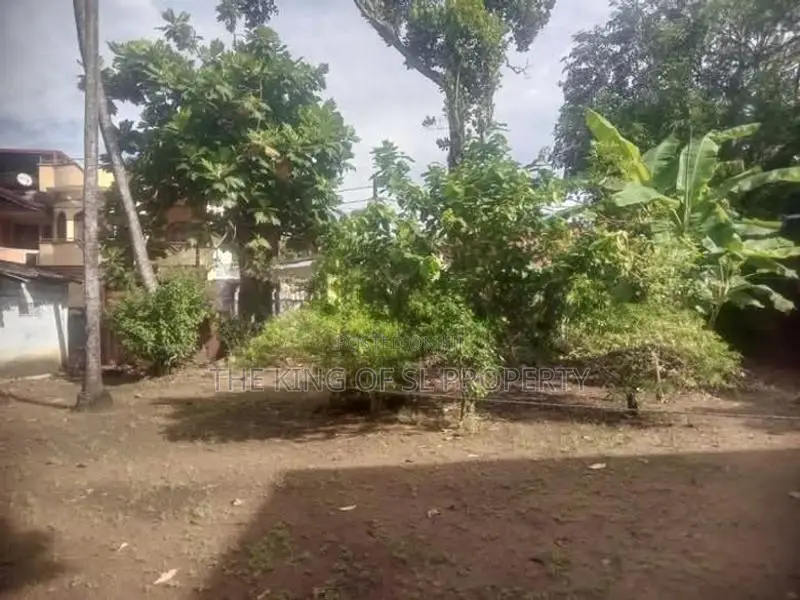 Land for sale in Colombo 09