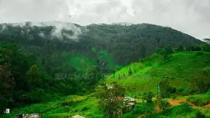 Bandarawela : 6BR (5,000sf) Brand New House for Sale