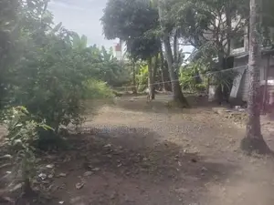 Land for sale in Colombo 09