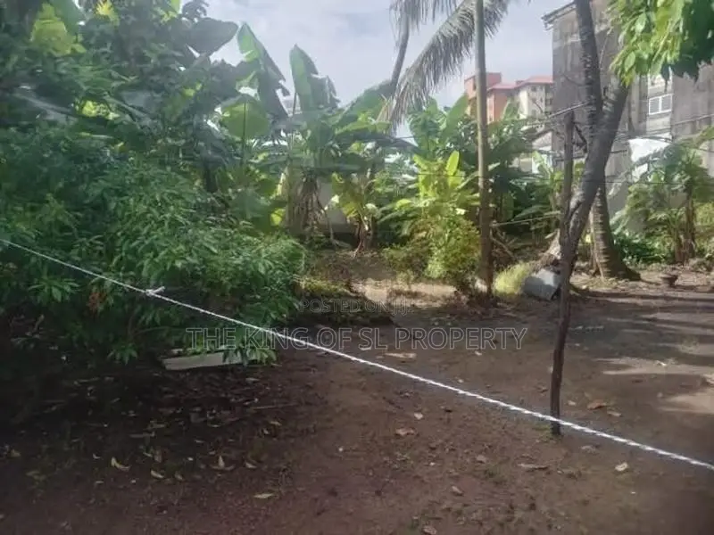 Land for sale in Colombo 09