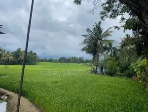 Main Road Facing Lands A6 Ibbagamuwa