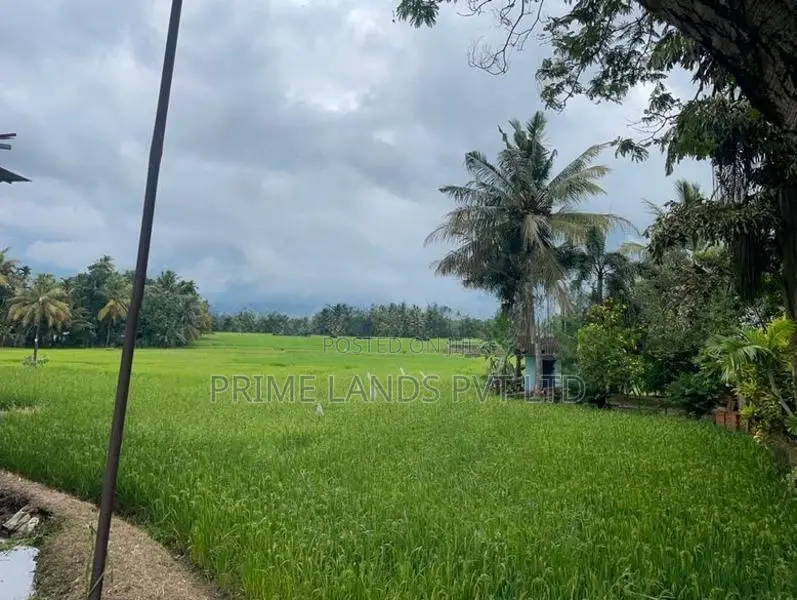 Main Road Facing Lands A6 Ibbagamuwa