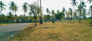 Land In Divulapitiya
