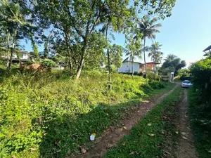 45P Bare Land For Sale In Pelawatta