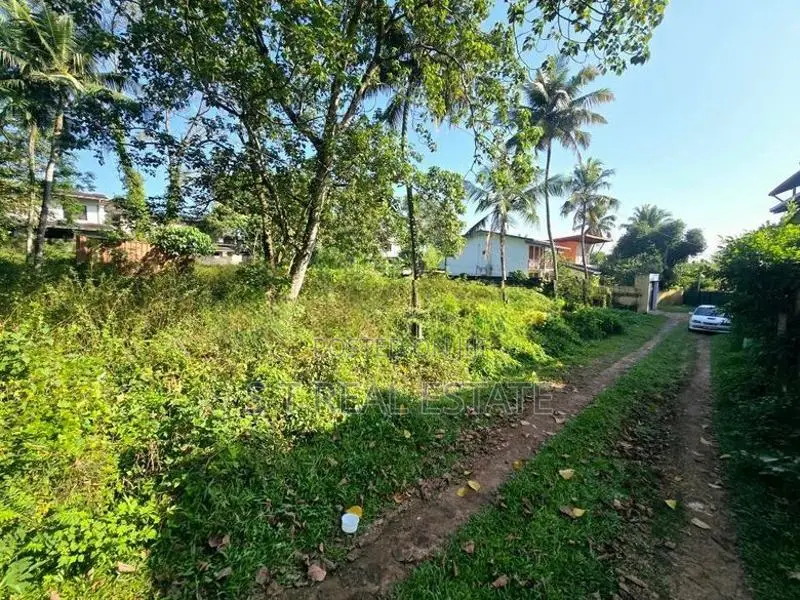 45P Bare Land For Sale In Pelawatta