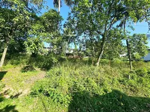 45P Bare Land For Sale In Pelawatta