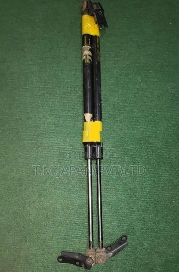 Toyota Estima Dicy Shock